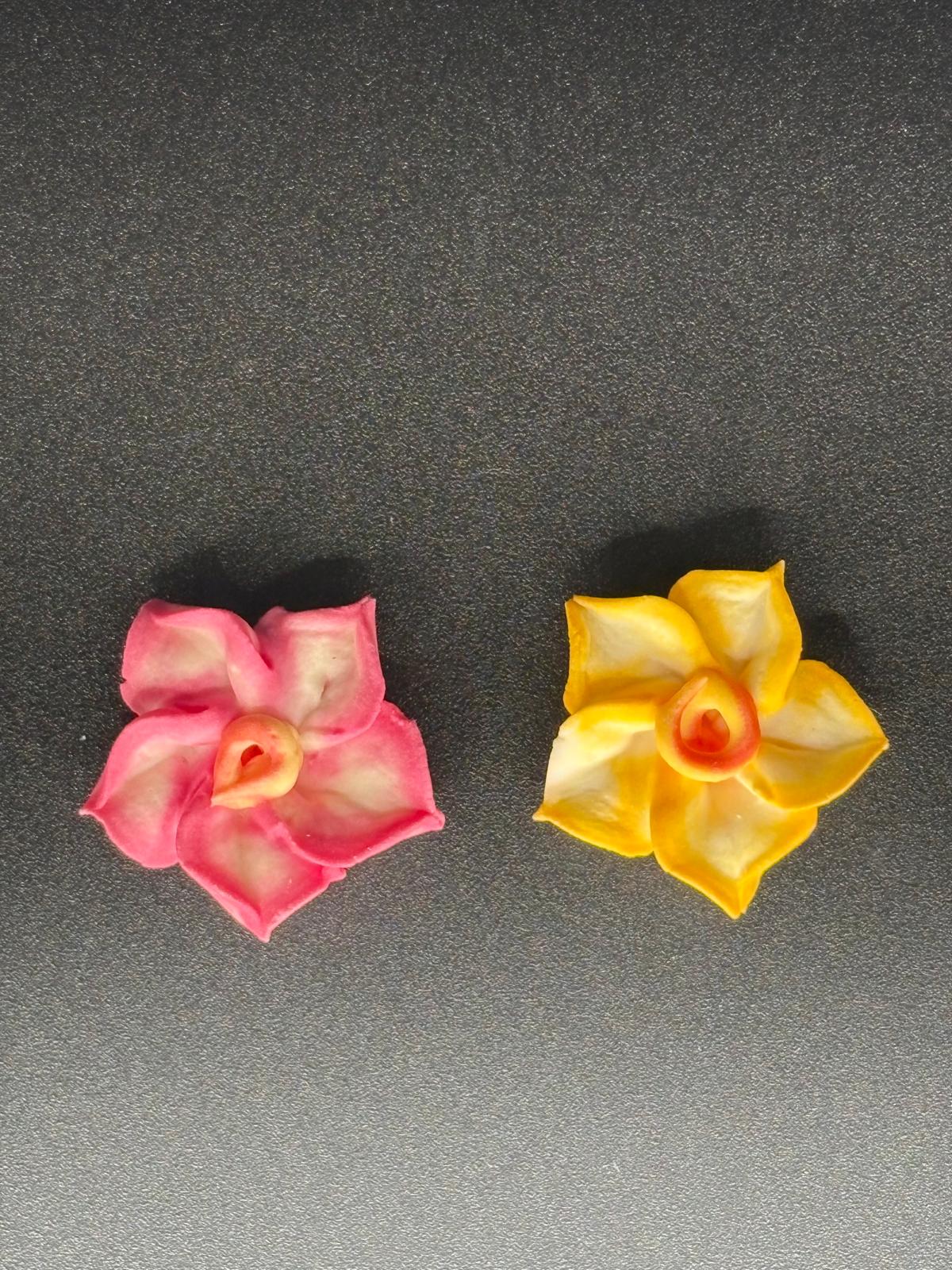 Fiori bordo colorato in zucchero