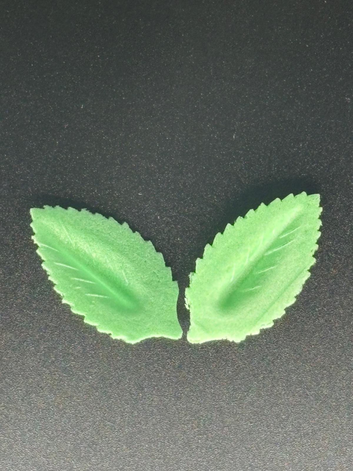 Foglie piccole in ostia